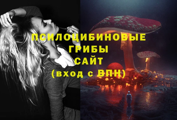 винт Алзамай