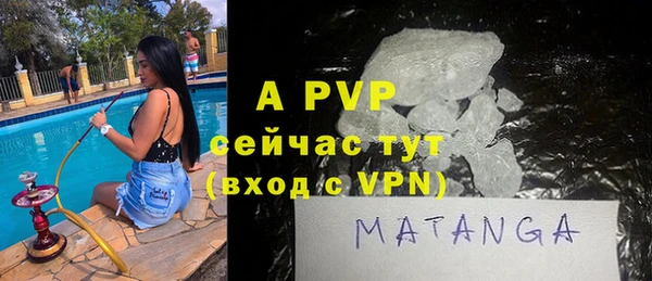 винт Алзамай